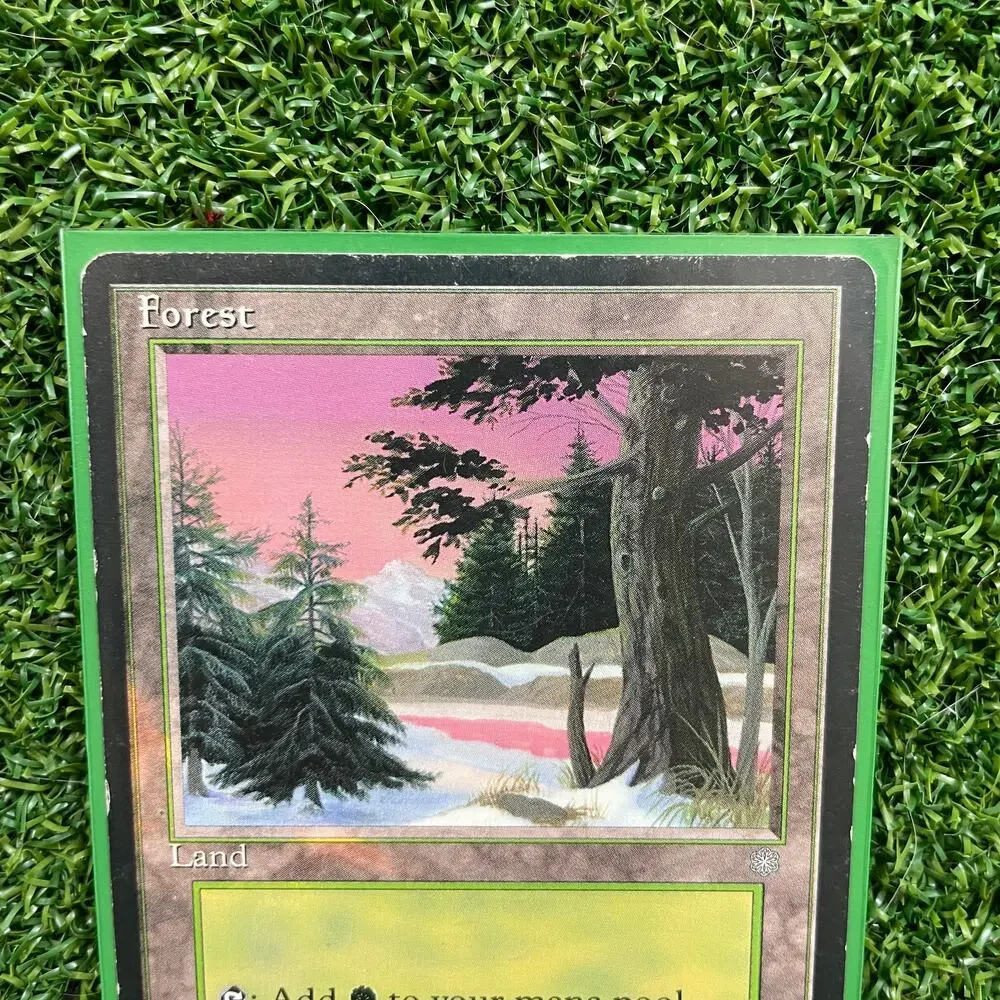MTG Forest 1995 Pat Morrissey Art Vintage Basic Land Magic Card LP